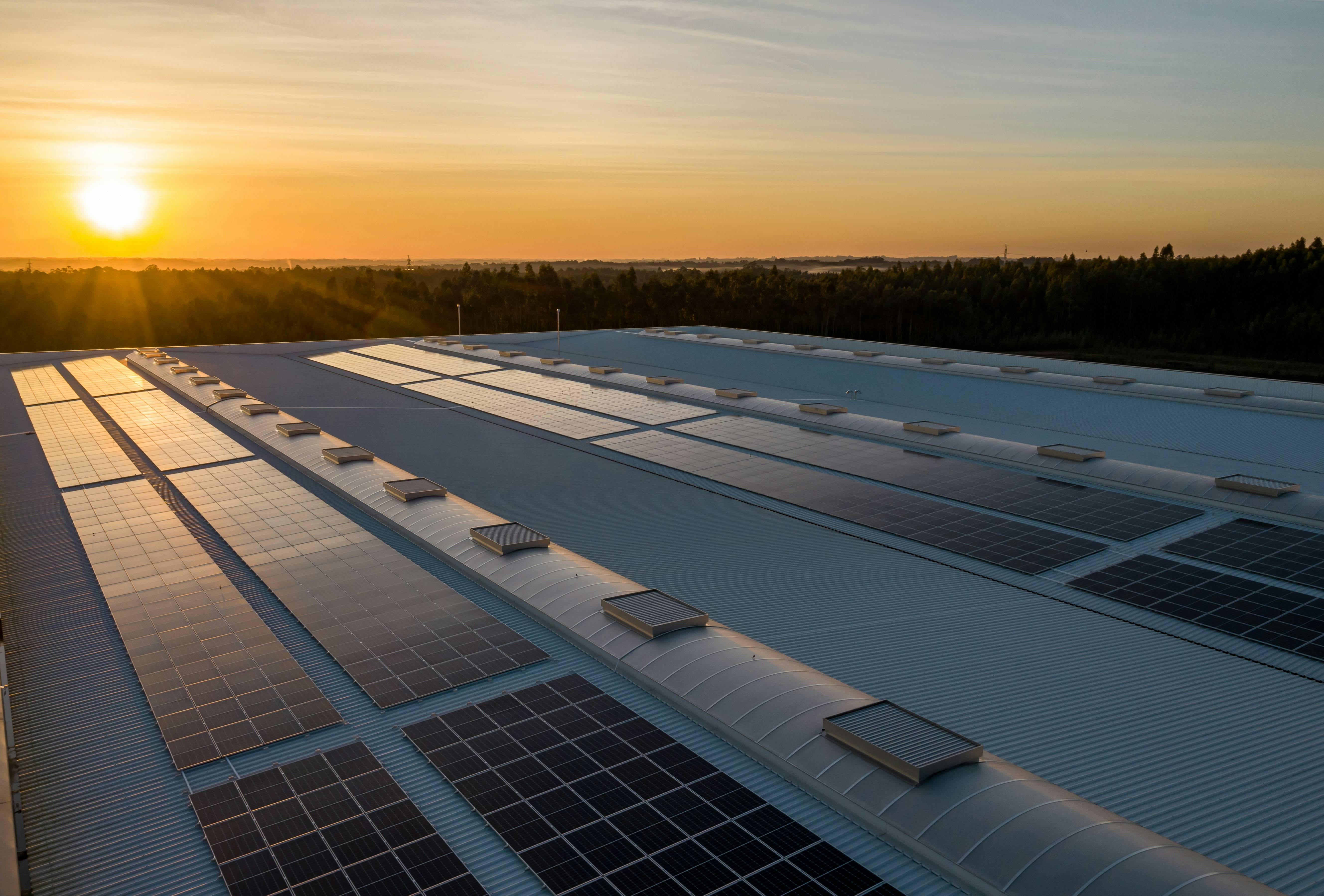 Close-up of photovoltaic solar panels at sunset with warm light
